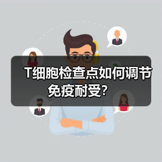 T细胞检查点如何调节免疫耐受？（图4）