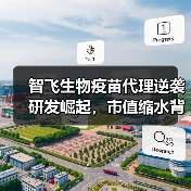 智飞生物疫苗代理逆袭研发崛起，市值缩水背后的投资价值（图1）