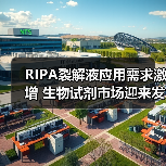 RIPA裂解液应用需求激增 生物试剂市场迎来发展机遇（图3）