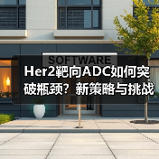 Her2靶向ADC如何突破瓶颈？新策略与挑战解析（图3）