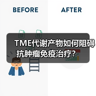 TME代谢产物如何阻碍抗肿瘤免疫治疗？（图2）