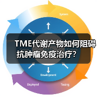 TME代谢产物如何阻碍抗肿瘤免疫治疗？（图1）