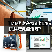 TME代谢产物如何阻碍抗肿瘤免疫治疗？（图4）