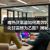 嗜热厌氧菌如何高效转化甘露醇为乙酸？揭秘二氧化碳的关键作用（图3）