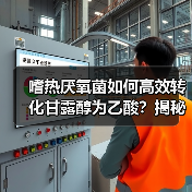 嗜热厌氧菌如何高效转化甘露醇为乙酸？揭秘二氧化碳的关键作用（图4）