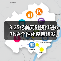 3.25亿美元融资推进mRNA个性化疫苗研发,癌症治疗将迎突破?(图2) 3.25亿美元融资推进mRNA个性化疫苗研发,癌症治疗将迎突破?(图2)