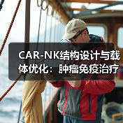 CAR-NK结构设计与载体优化:肿瘤免疫治疗新突破(图2) CAR-NK结构设计与载体优化:肿瘤免疫治疗新突破(图2)