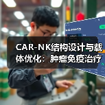 CAR-NK结构设计与载体优化:肿瘤免疫治疗新突破(图3) CAR-NK结构设计与载体优化:肿瘤免疫治疗新突破(图3)