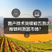 国产技术突破能否激活脊髓刺激器市场?(图4) 国产技术突破能否激活脊髓刺激器市场?(图4)