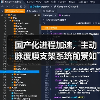 国产化进程加速,主动脉覆膜支架系统前景如何?(图1) 国产化进程加速,主动脉覆膜支架系统前景如何?(图1)