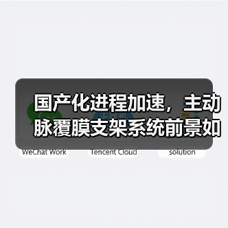国产化进程加速,主动脉覆膜支架系统前景如何?(图3) 国产化进程加速,主动脉覆膜支架系统前景如何?(图3)