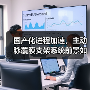 国产化进程加速,主动脉覆膜支架系统前景如何?(图4) 国产化进程加速,主动脉覆膜支架系统前景如何?(图4)