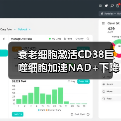 衰老细胞激活CD38巨噬细胞加速NAD+下降的机制(图4) 衰老细胞激活CD38巨噬细胞加速NAD+下降的机制(图4)