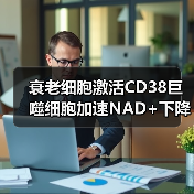 衰老细胞激活CD38巨噬细胞加速NAD+下降的机制(图3) 衰老细胞激活CD38巨噬细胞加速NAD+下降的机制(图3)