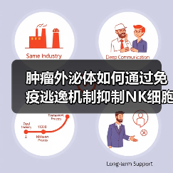 肿瘤外泌体如何通过免疫逃逸机制抑制NK细胞功能?(图1) 肿瘤外泌体如何通过免疫逃逸机制抑制NK细胞功能?(图1)