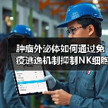 肿瘤外泌体如何通过免疫逃逸机制抑制NK细胞功能?(图2) 肿瘤外泌体如何通过免疫逃逸机制抑制NK细胞功能?(图2)