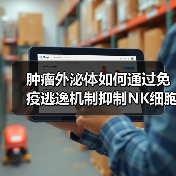 肿瘤外泌体如何通过免疫逃逸机制抑制NK细胞功能?(图3) 肿瘤外泌体如何通过免疫逃逸机制抑制NK细胞功能?(图3)