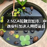 2.5亿A轮融资加持,中逸安科加速人用疫苗自主研发(图3) 2.5亿A轮融资加持,中逸安科加速人用疫苗自主研发(图3)