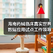 海南药械临床真实世界数据应用试点工作领导小组会议召开(图1) 海南药械临床真实世界数据应用试点工作领导小组会议召开(图1)
