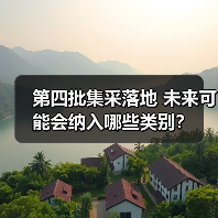 第四批集采落地 未来可能会纳入哪些类别?(图3) 第四批集采落地 未来可能会纳入哪些类别?(图3)