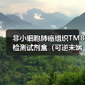 非小细胞肺癌组织TMB检测试剂盒(可逆末端终止测序法)获批上市(图4) 非小细胞肺癌组织TMB检测试剂盒(可逆末端终止测序法)获批上市(图4)